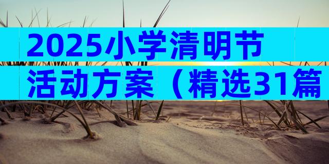 2025小学清明节活动方案（精选31篇）