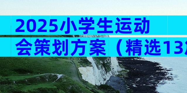 2025小学生运动会策划方案（精选13篇）