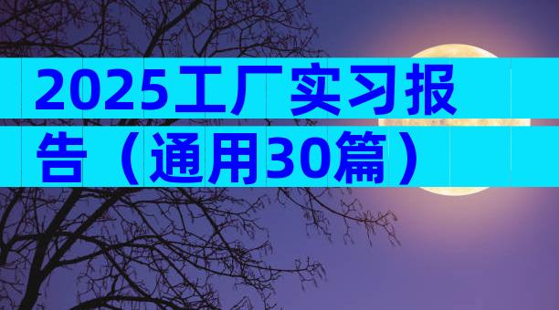 2025工厂实习报告（通用30篇）