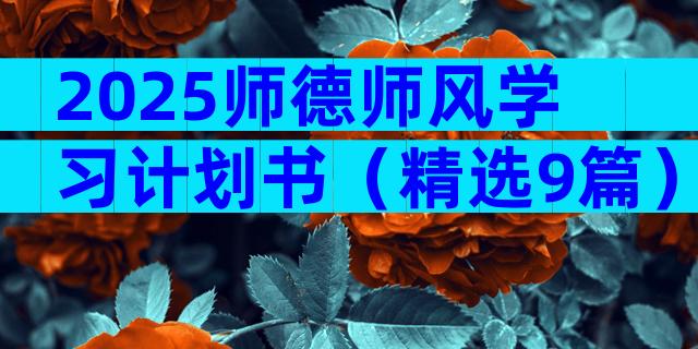 2025师德师风学习计划书（精选9篇）