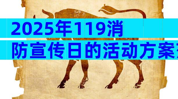 2025年119消防宣传日的活动方案范文（精选32篇）