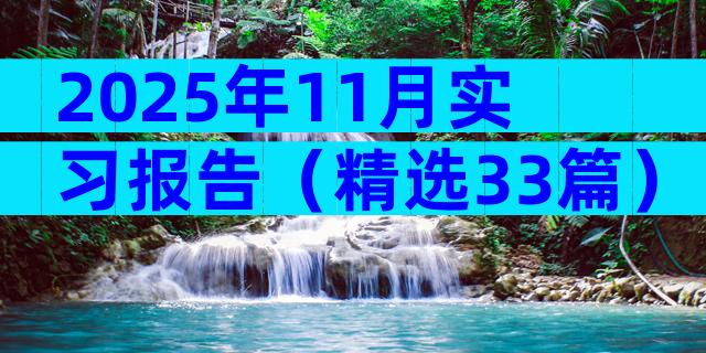 2025年11月实习报告（精选33篇）