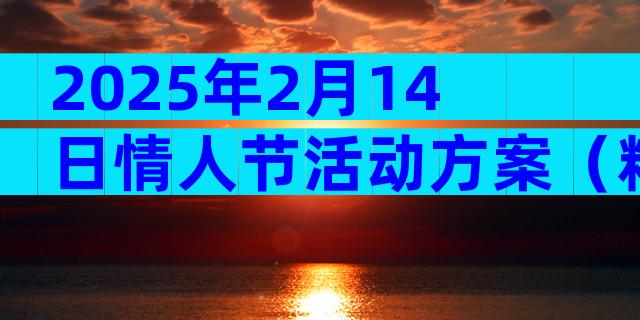2025年2月14日情人节活动方案（精选30篇）