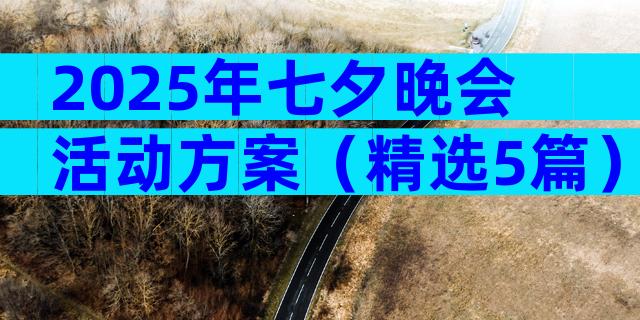 2025年七夕晚会活动方案（精选5篇）