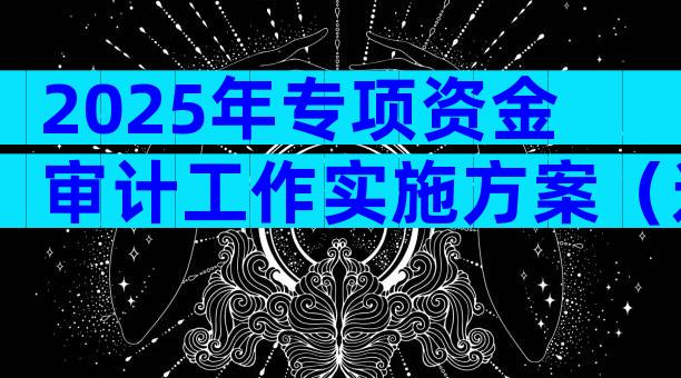 2025年专项资金审计工作实施方案（通用3篇）
