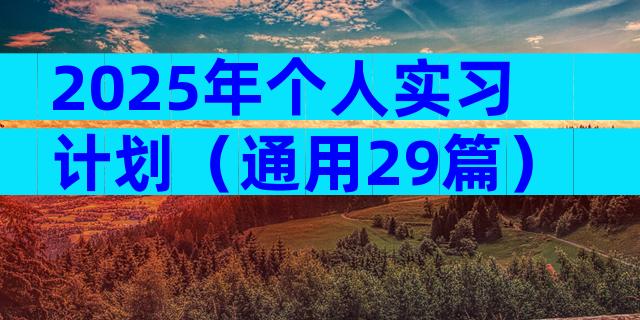 2025年个人实习计划（通用29篇）