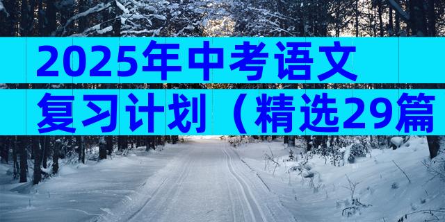 2025年中考语文复习计划（精选29篇）