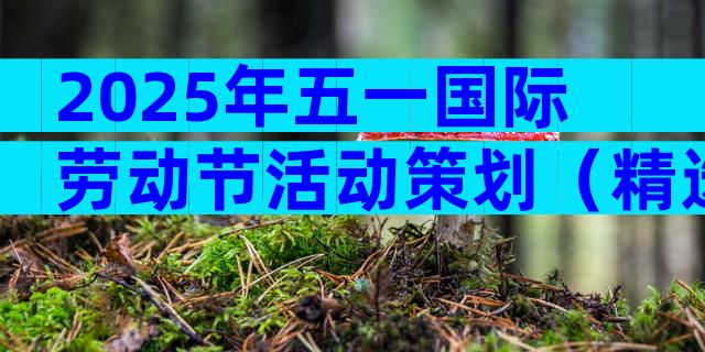 2025年五一国际劳动节活动策划（精选32篇）