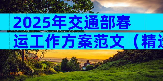 2025年交通部春运工作方案范文（精选31篇）