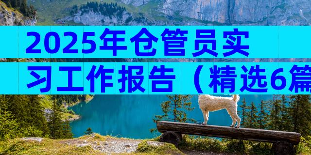 2025年仓管员实习工作报告（精选6篇）