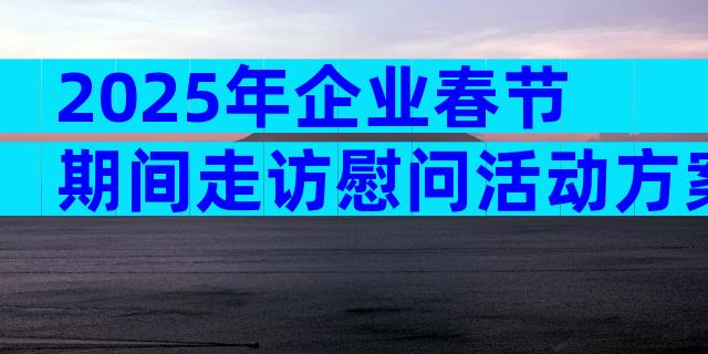 2025年企业春节期间走访慰问活动方案范文（通用29篇）