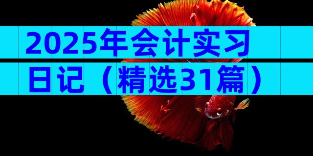 2025年会计实习日记（精选31篇）