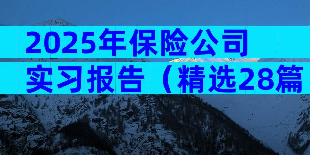 2025年保险公司实习报告（精选28篇）