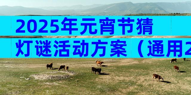 2025年元宵节猜灯谜活动方案（通用27篇）