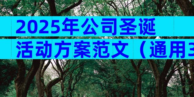 2025年公司圣诞活动方案范文（通用32篇）
