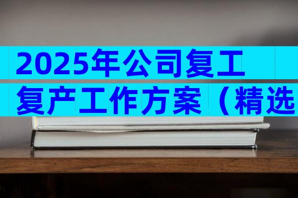2025年公司复工复产工作方案（精选28篇）