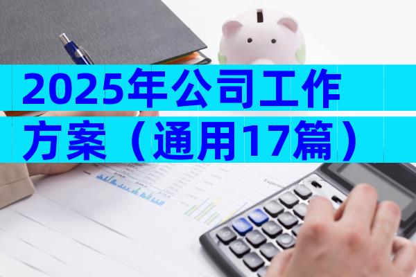 2025年公司工作方案（通用17篇）