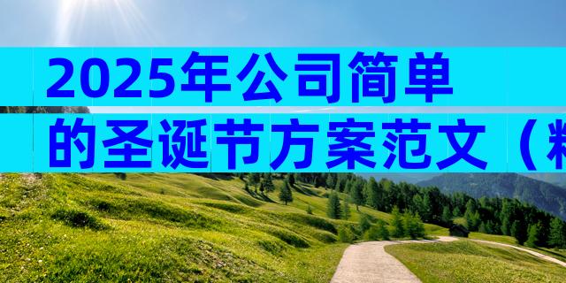 2025年公司简单的圣诞节方案范文（精选29篇）