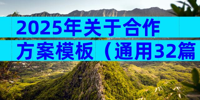 2025年关于合作方案模板（通用32篇）