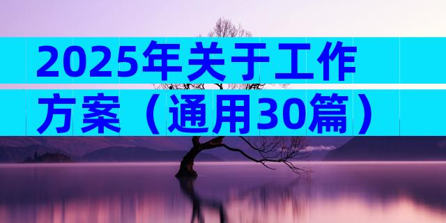 2025年关于工作方案（通用30篇）