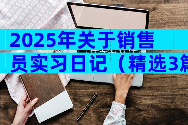 2025年关于销售员实习日记（精选3篇）