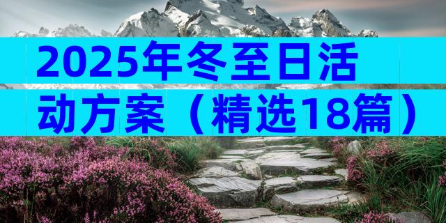 2025年冬至日活动方案（精选18篇）