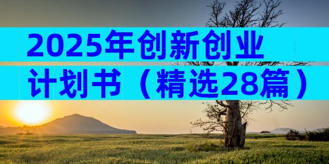 2025年创新创业计划书（精选28篇）