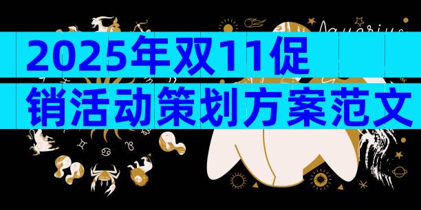 2025年双11促销活动策划方案范文（精选29篇）