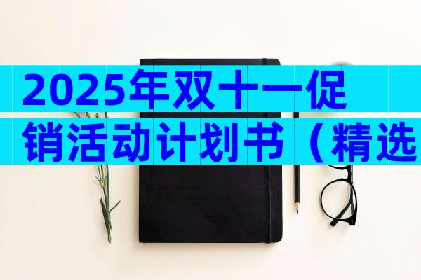 2025年双十一促销活动计划书（精选32篇）