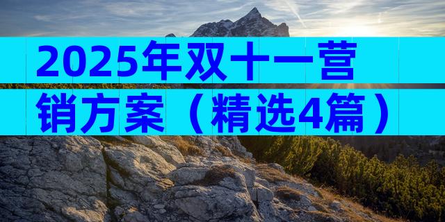 2025年双十一营销方案（精选4篇）