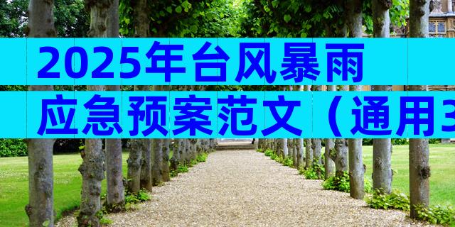 2025年台风暴雨应急预案范文（通用32篇）
