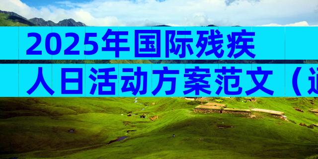 2025年国际残疾人日活动方案范文（通用14篇）