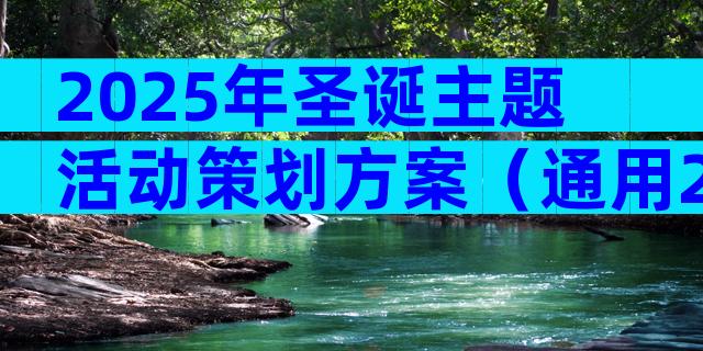 2025年圣诞主题活动策划方案（通用28篇）