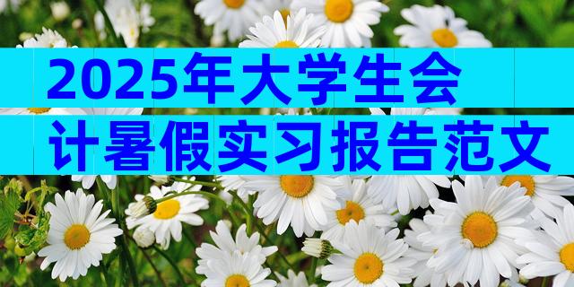 2025年大学生会计暑假实习报告范文（通用3篇）