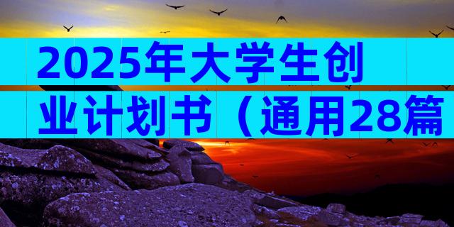 2025年大学生创业计划书（通用28篇）