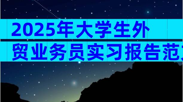 2025年大学生外贸业务员实习报告范文（精选22篇）