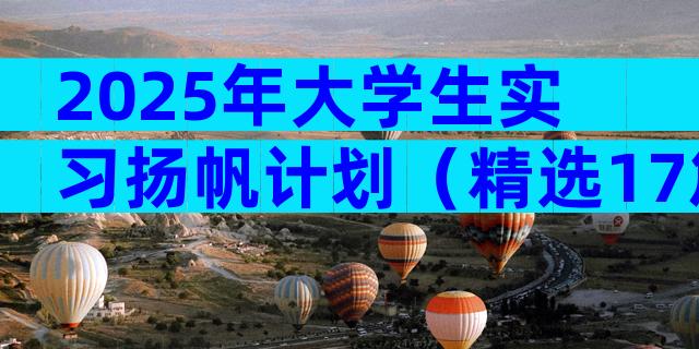 2025年大学生实习扬帆计划（精选17篇）