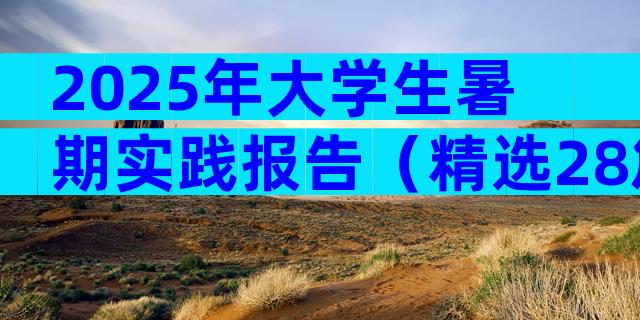 2025年大学生暑期实践报告（精选28篇）