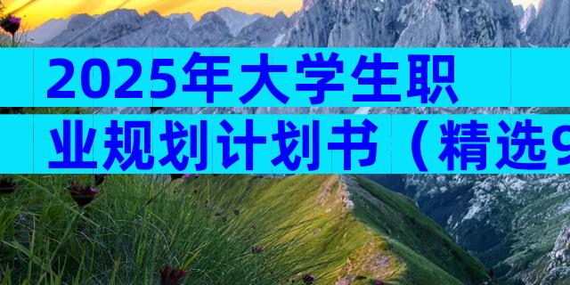 2025年大学生职业规划计划书（精选9篇）