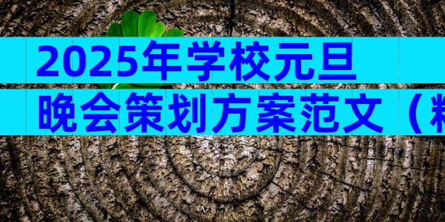 2025年学校元旦晚会策划方案范文（精选12篇）