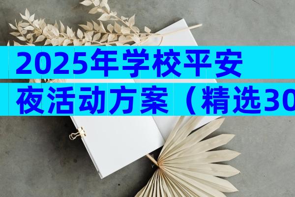 2025年学校平安夜活动方案（精选30篇）