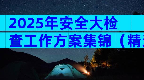 2025年安全大检查工作方案集锦（精选28篇）