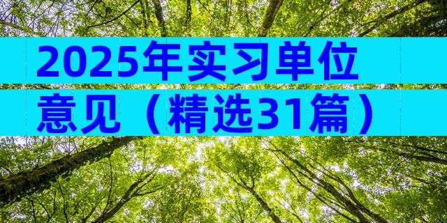 2025年实习单位意见（精选31篇）