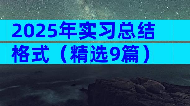 2025年实习总结格式（精选9篇）