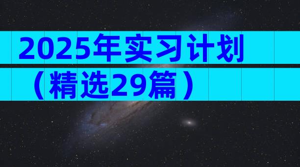 2025年实习计划（精选29篇）