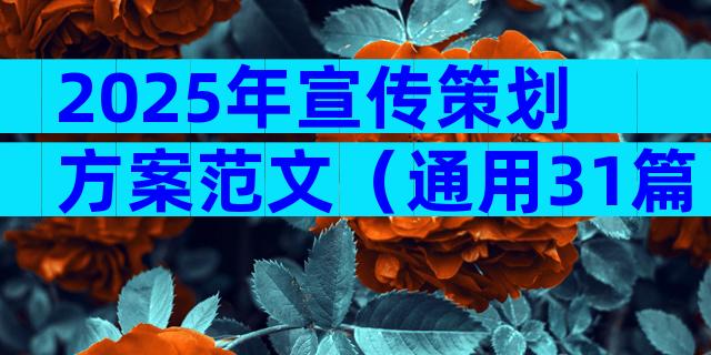 2025年宣传策划方案范文（通用31篇）