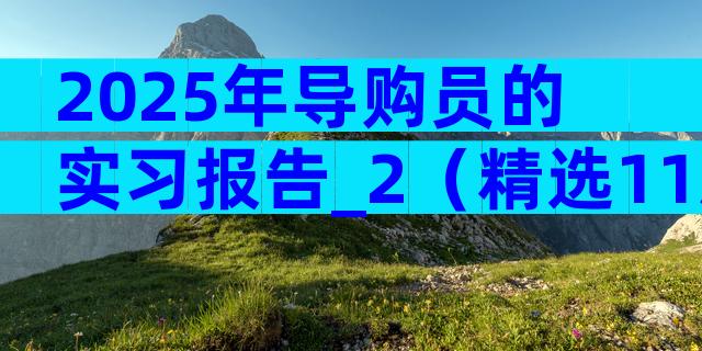 2025年导购员的实习报告_2（精选11篇）