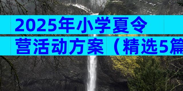 2025年小学夏令营活动方案（精选5篇）
