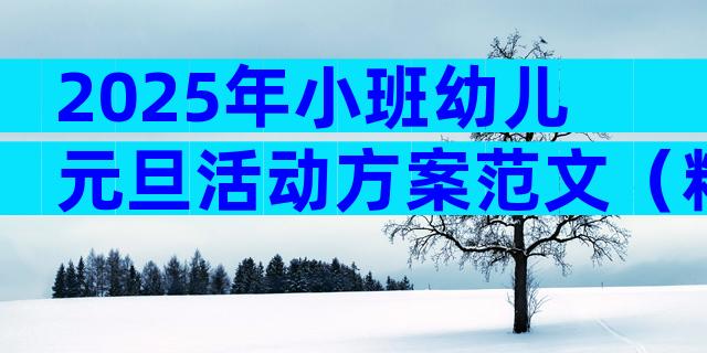 2025年小班幼儿元旦活动方案范文（精选3篇）
