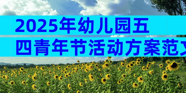 2025年幼儿园五四青年节活动方案范文（精选29篇）